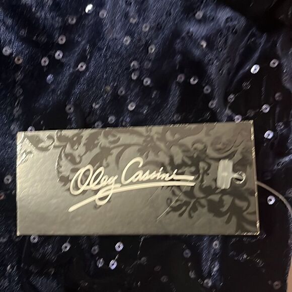 Oleg Cassini Blue Velvet W/Sequins Mini Dress‎ - Picture 5 of 5